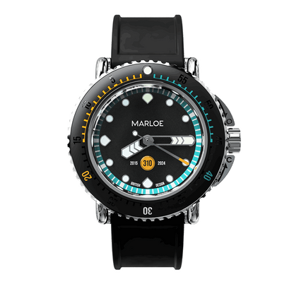 Morar 310 - Shareholder Edition 2024